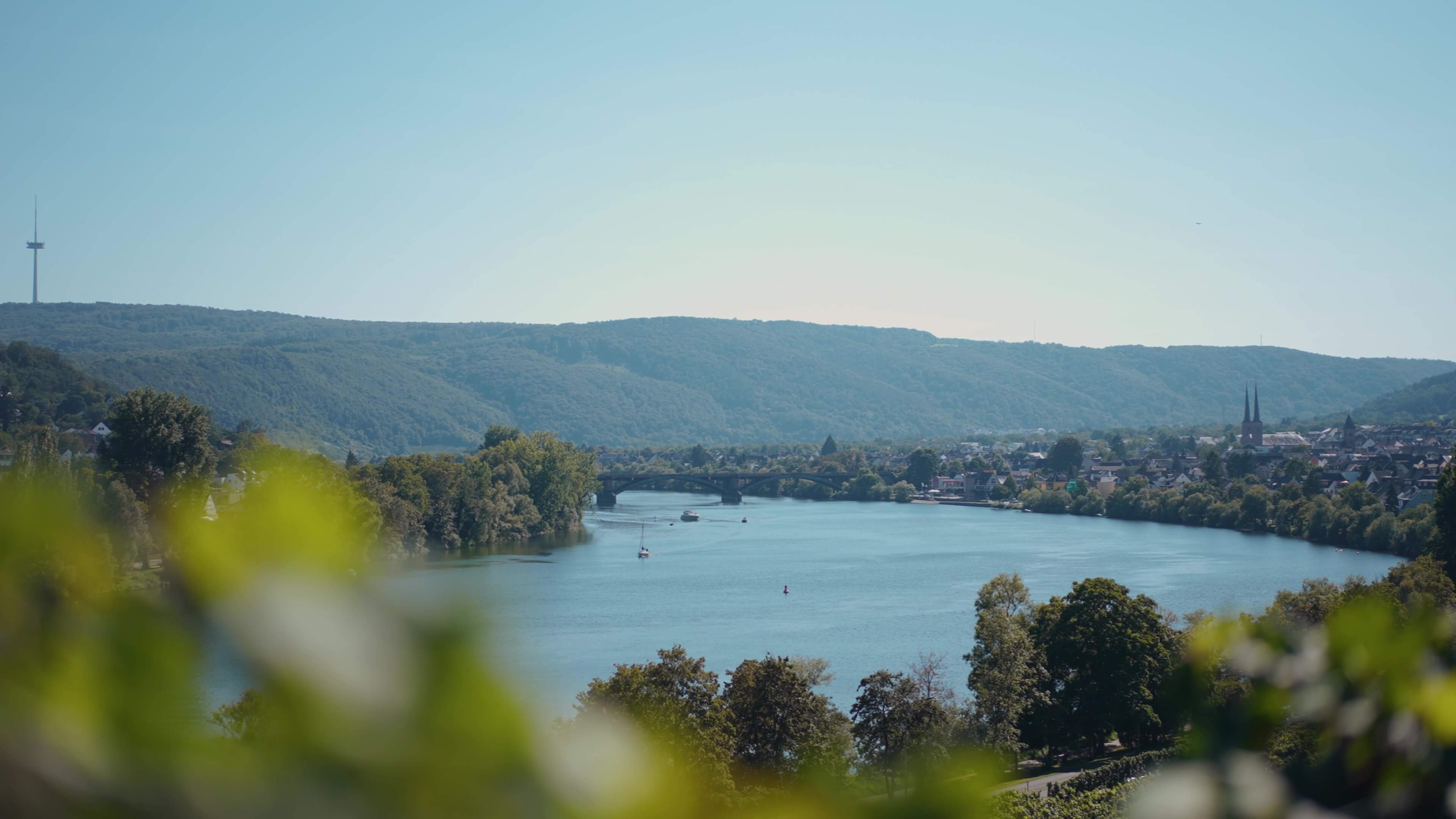 Blick auf die Mosel vom Weinberg Koblenzer Marienberg aus im Weingut Schwaab. 