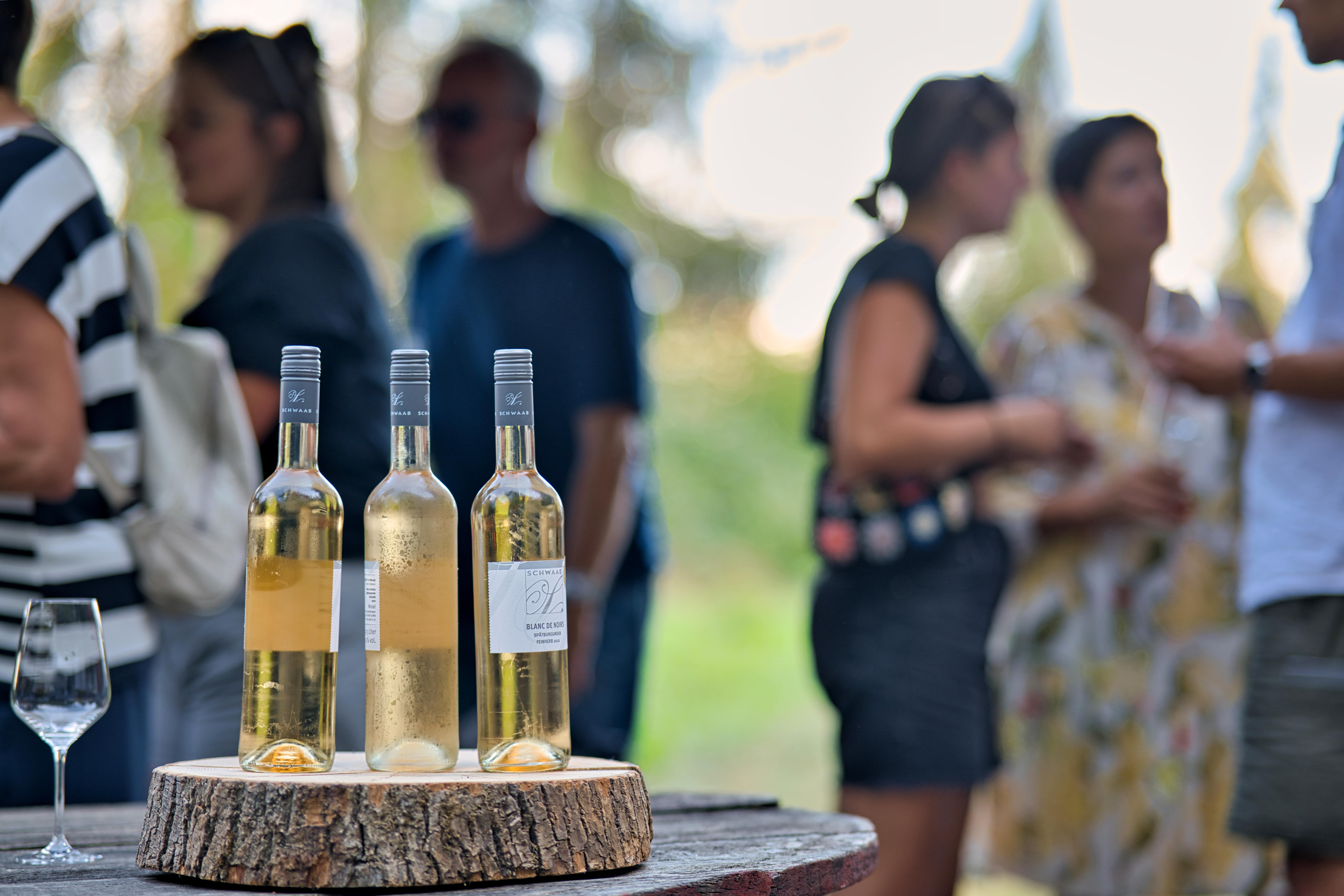 Marienbergtour im Weingut Schwaab am Koblenzer Marienberg Aufnahme von drei gekühlten Weinflaschen mit Weinglas mit Gästen im Hintergrund während der Marienbergtour im Weingut Schwaab im Koblenzer Marienberg.