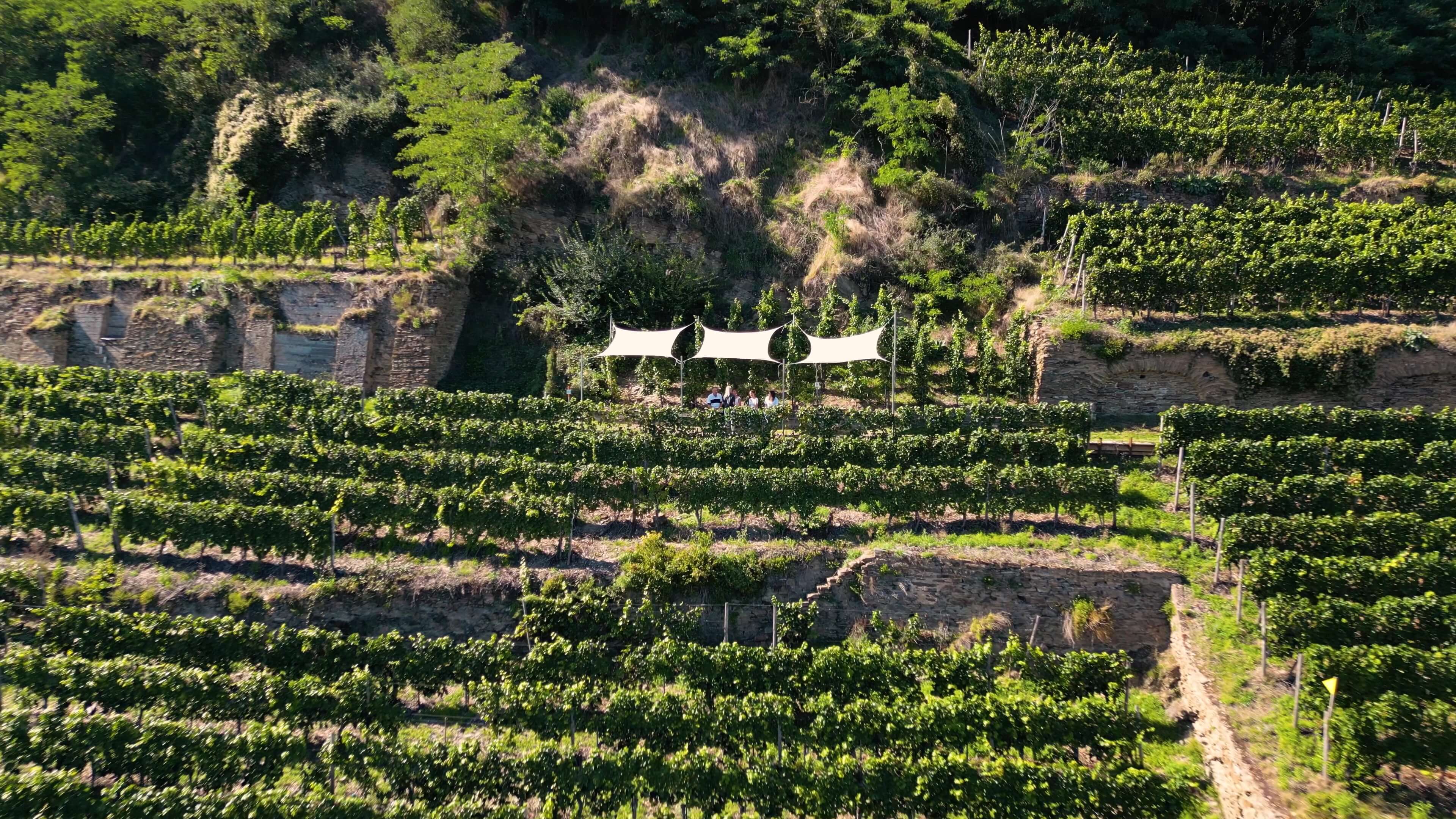 Koblenzer Marienberg Weingut Schwaab in Koblenz Blick auf den Koblenzer Marienberg mit Segeln aus der Luft.