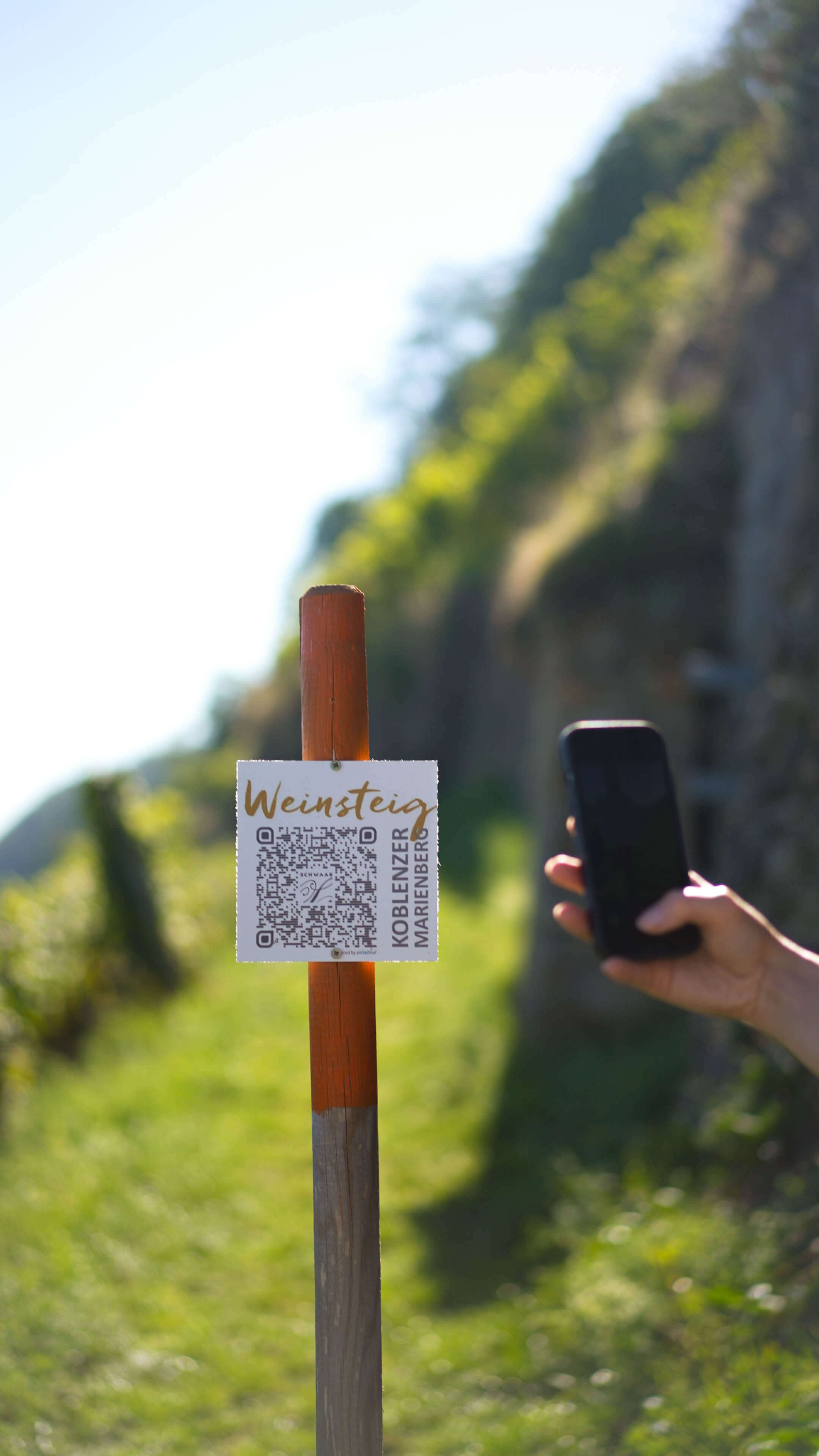 Handy scannt QR Code Tafel vom Weinsteig im Weinberg Koblenzer Marienberg im Weingut Schwaab. 